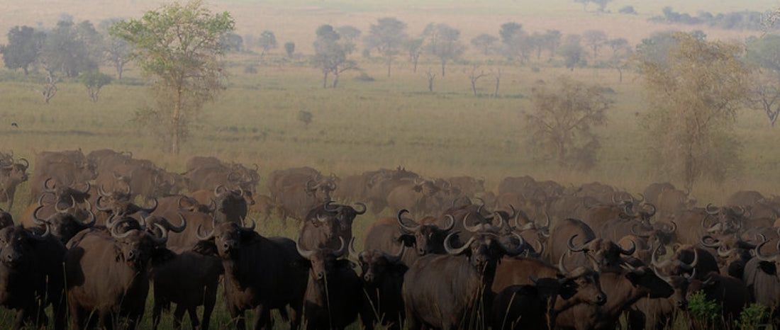 KIDEPO VALLEY NATIONAL PARK
