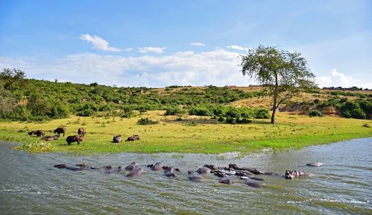 QUEEN ELIZABETH NATIONAL PARK