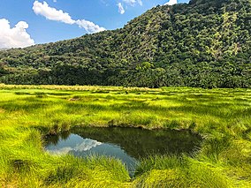 Semuliki National Park Wildlife Tour