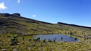Mount Elgon National Park Safari
