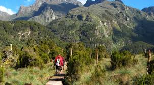 Mount Elgon National Park Safari
