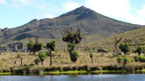 Mount Elgon National Park Safari