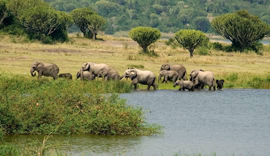 QUEEN ELIZABETH NATIONAL PARK