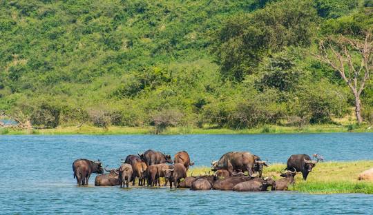 QUEEN ELIZABETH NATIONAL PARK