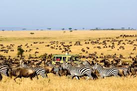 UGANDA DELUXE SAFARI
