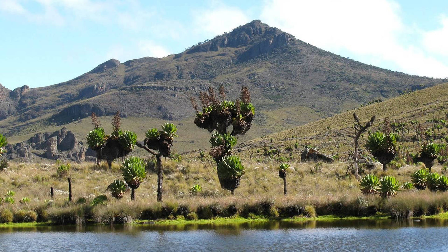 Mount Elgon National Park Safari