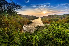 MURCHION FALLS SAFARI