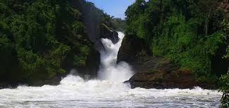 MURCHION FALLS SAFARI