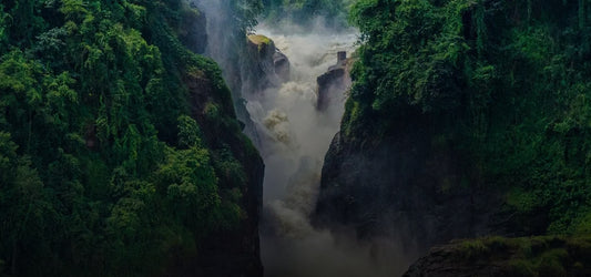 MURCHION FALLS SAFARI