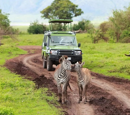 QUEEN ELIZABETH NATIONAL PARK